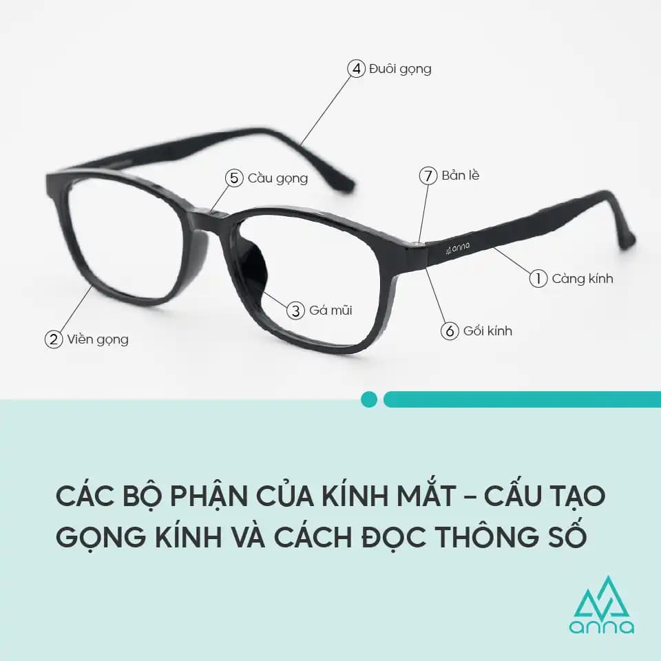 Các Bộ Phận Của Kính Mắt – Cấu Tạo Gọng Kính Và Cách Đọc Thông Số