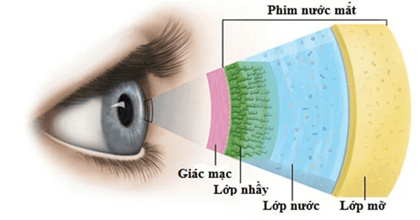 Các bệnh về mắt ở người già và cách chữa trị
